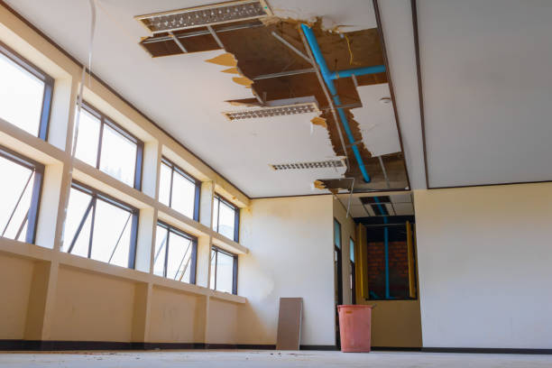 Best Water damage restoration near me  in Patchogue, NY