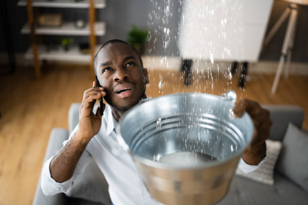 Best 24-hour water damage restoration  in Patchogue, NY