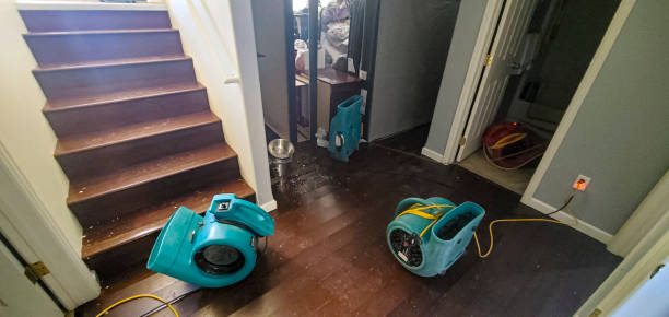 Best Local water damage restoration  in Patchogue, NY