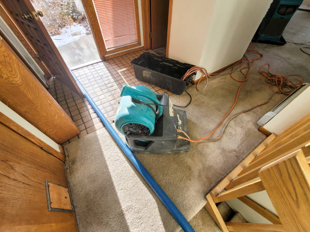 Best Water damage restoration near me  in Patchogue, NY