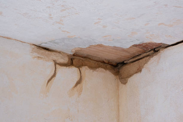 Best Fire Damage Restoration  in Patchogue, NY