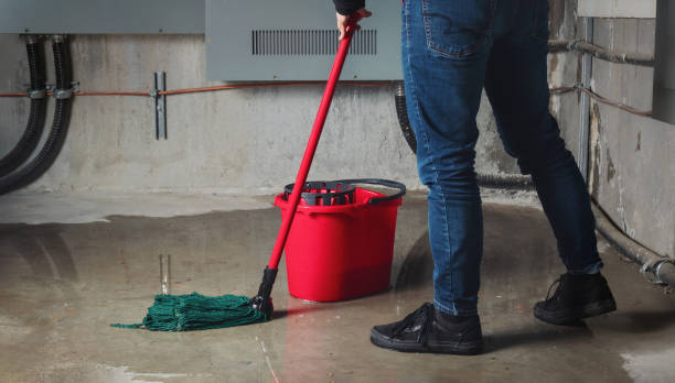 Best Professional water damage repair  in Patchogue, NY