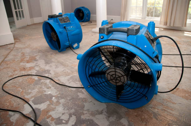 Best Flooded house restoration  in Patchogue, NY