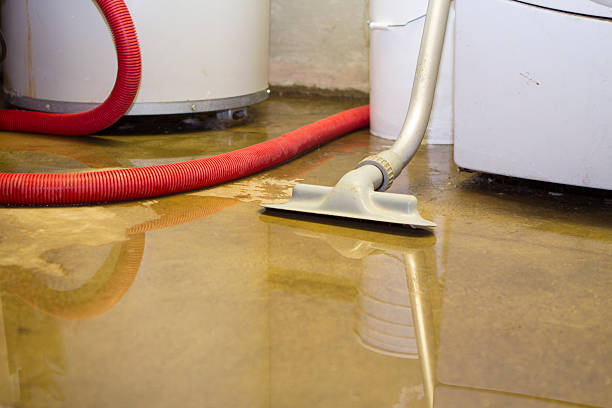 Best Flood restoration services  in Patchogue, NY