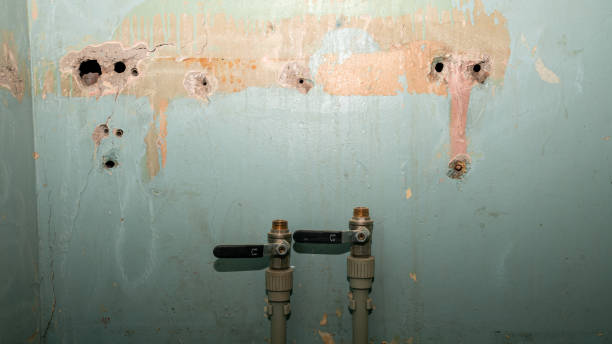 Best 24/7 water damage repair  in Patchogue, NY