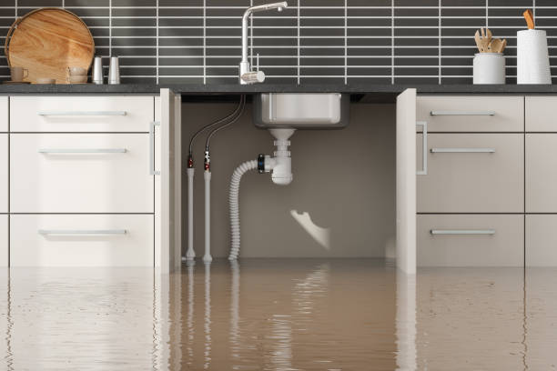 Best Basement water damage restoration  in Patchogue, NY