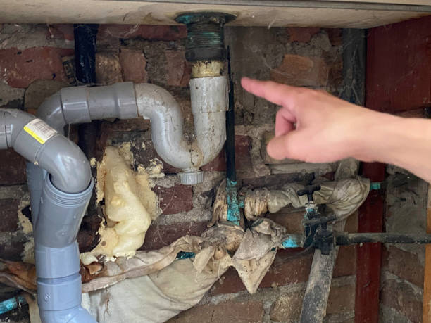 Best Flood damage cleanup  in Patchogue, NY