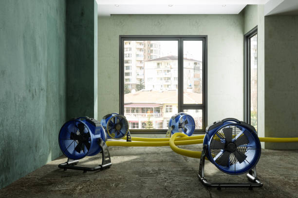 Professional Water damage restoration in Patchogue, NY